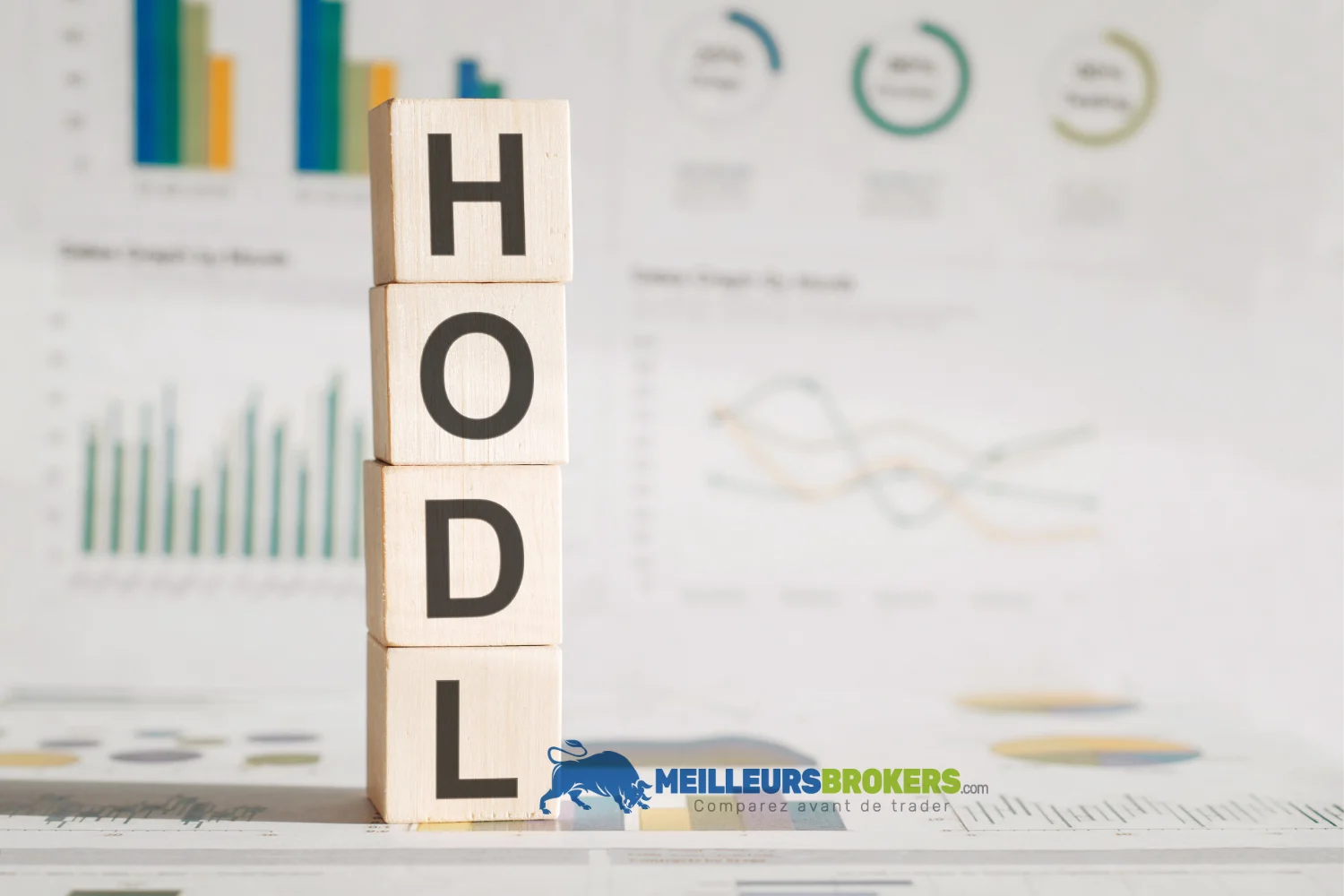 La stratégie long terme du HODL